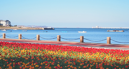 兰迪（烟台）律师事务所